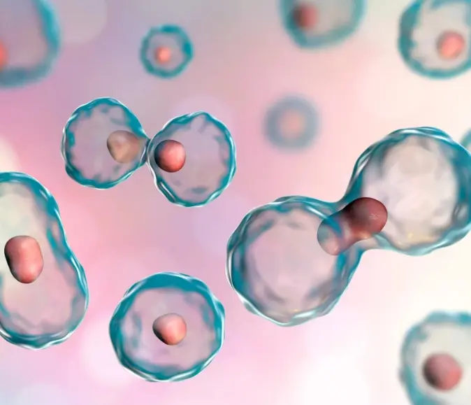 Blood and umbilical cord blood stem cells America Cell Bank