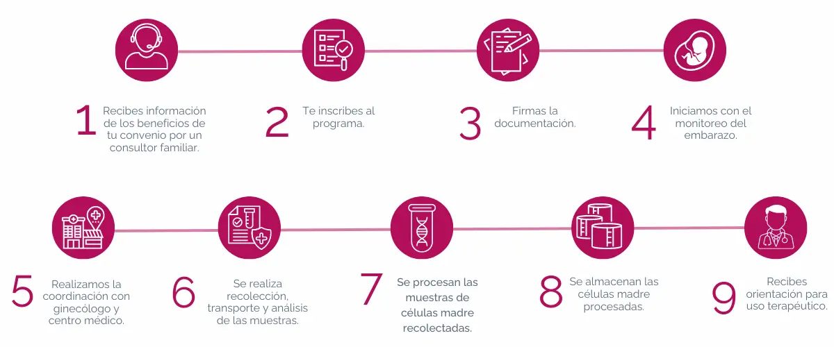 Proceso-PW-CM
