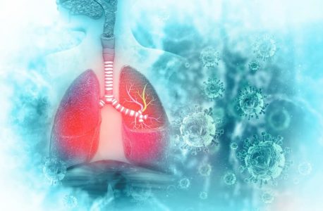 Regeneración Pulmonar: El Potencial Curativo de las Células Madre en Pacientes con EPOC