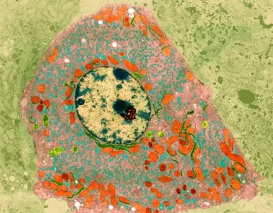 Paseo por la historia de las células madre. Homenaje a la vida.