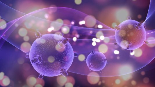 celulas madre en el tratamiento del reumatismo